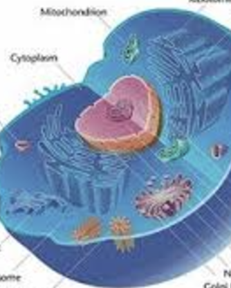 Microbe Mission