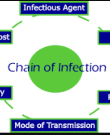 Disease Detectives